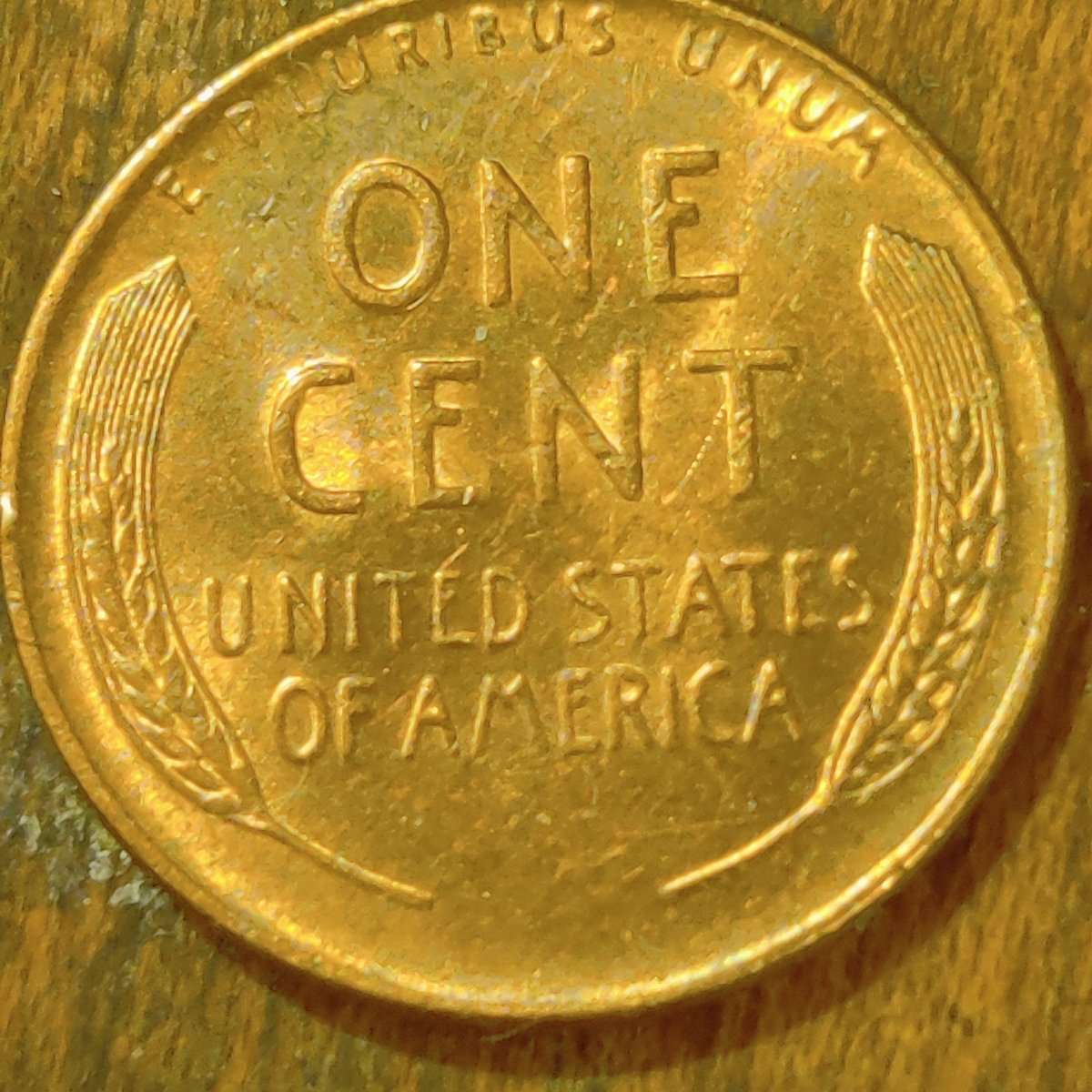 1955-Wheat-Penny-I-Really-Don't-Know-What-To-Focus-My-Attention-On.